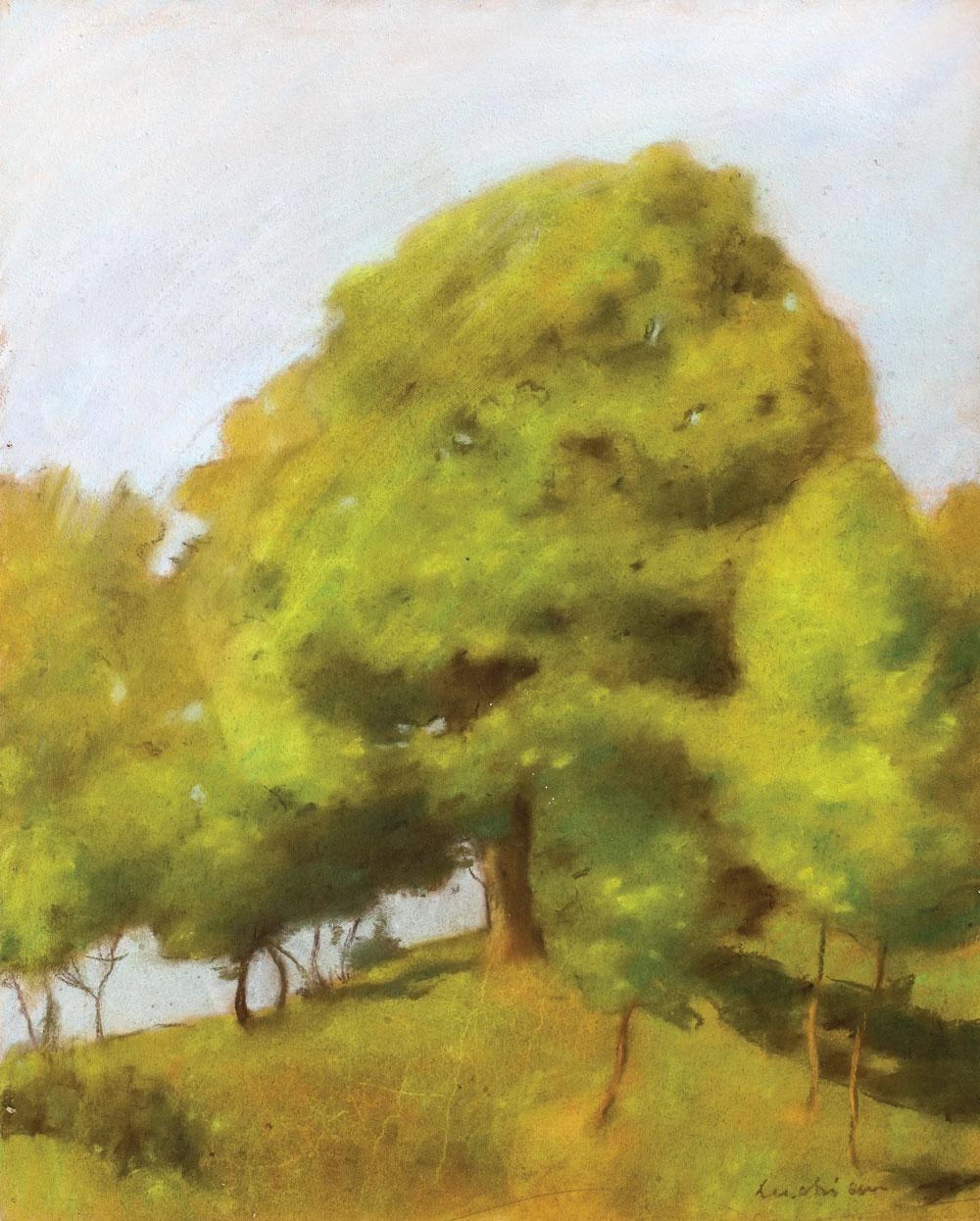 Primavera al Brebu